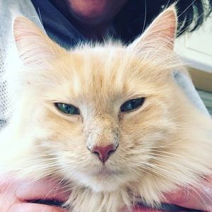 Meet your Posher, Lilly